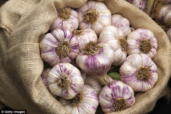 garlic